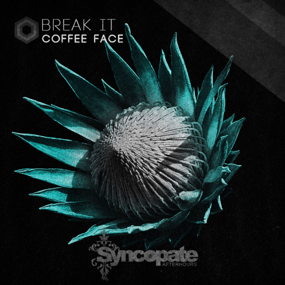 Picture of Break It