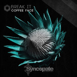 Cover of Break It