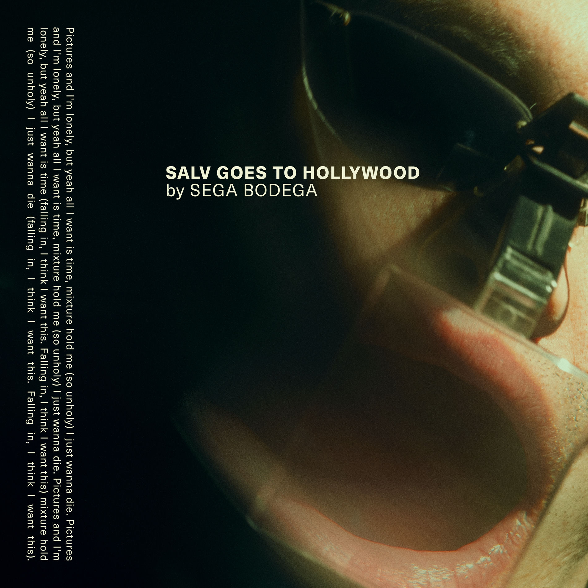 Album cover of Salv Goes To Hollywood