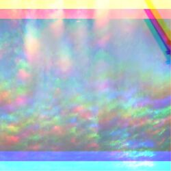 Cover of Starlight