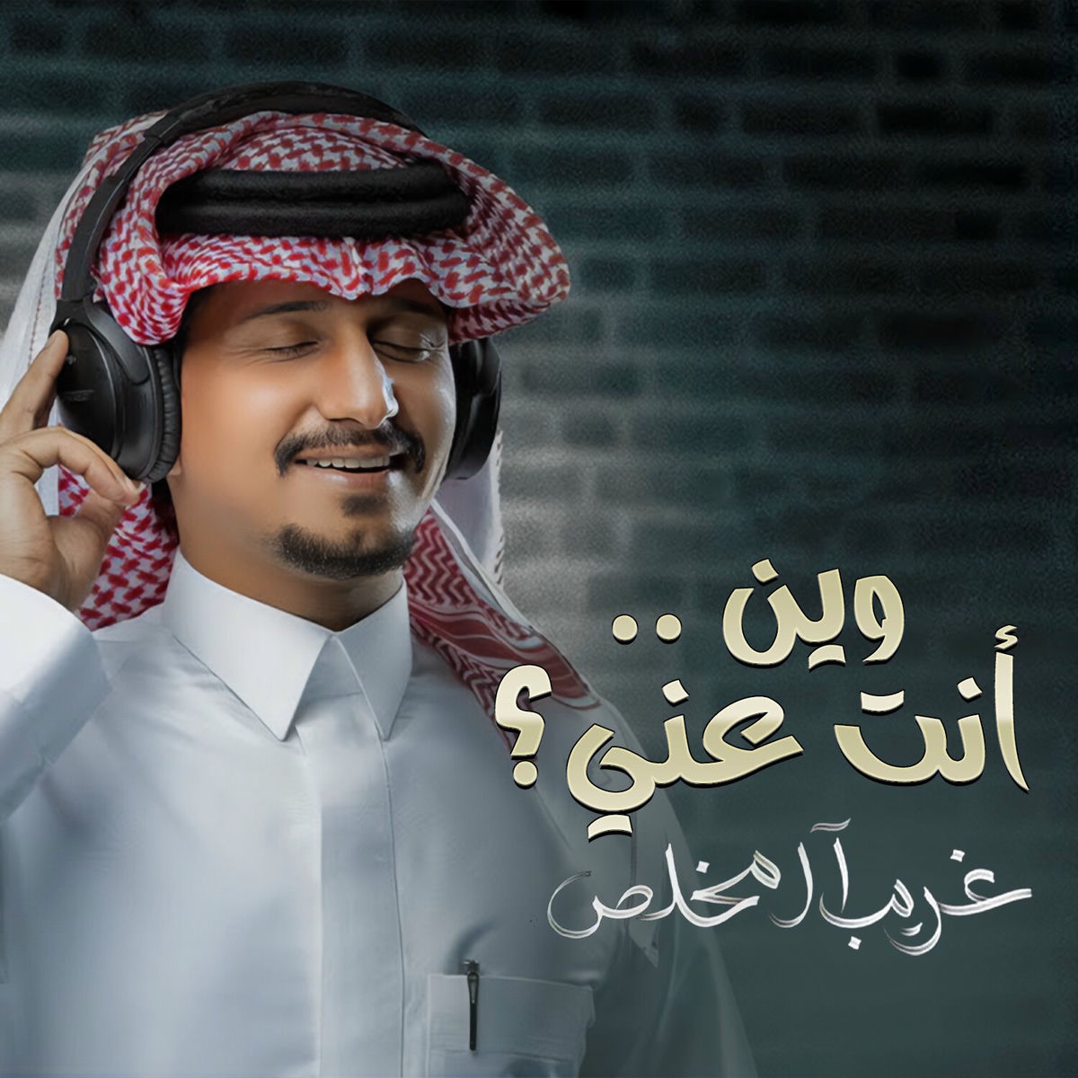 Album cover of وين أنت عني