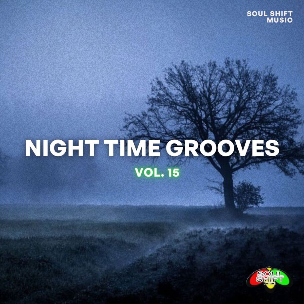 Album cover of Night Time Grooves, Vol. 15