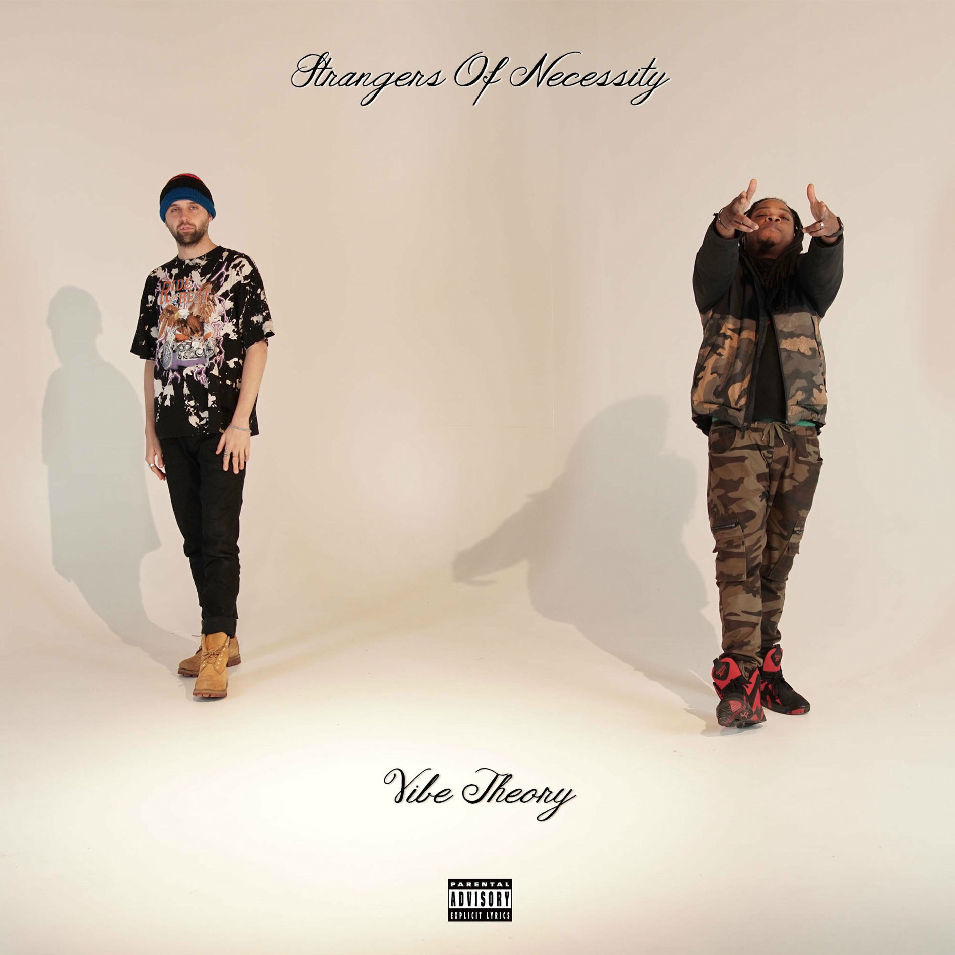 Album cover of Vibe Theory