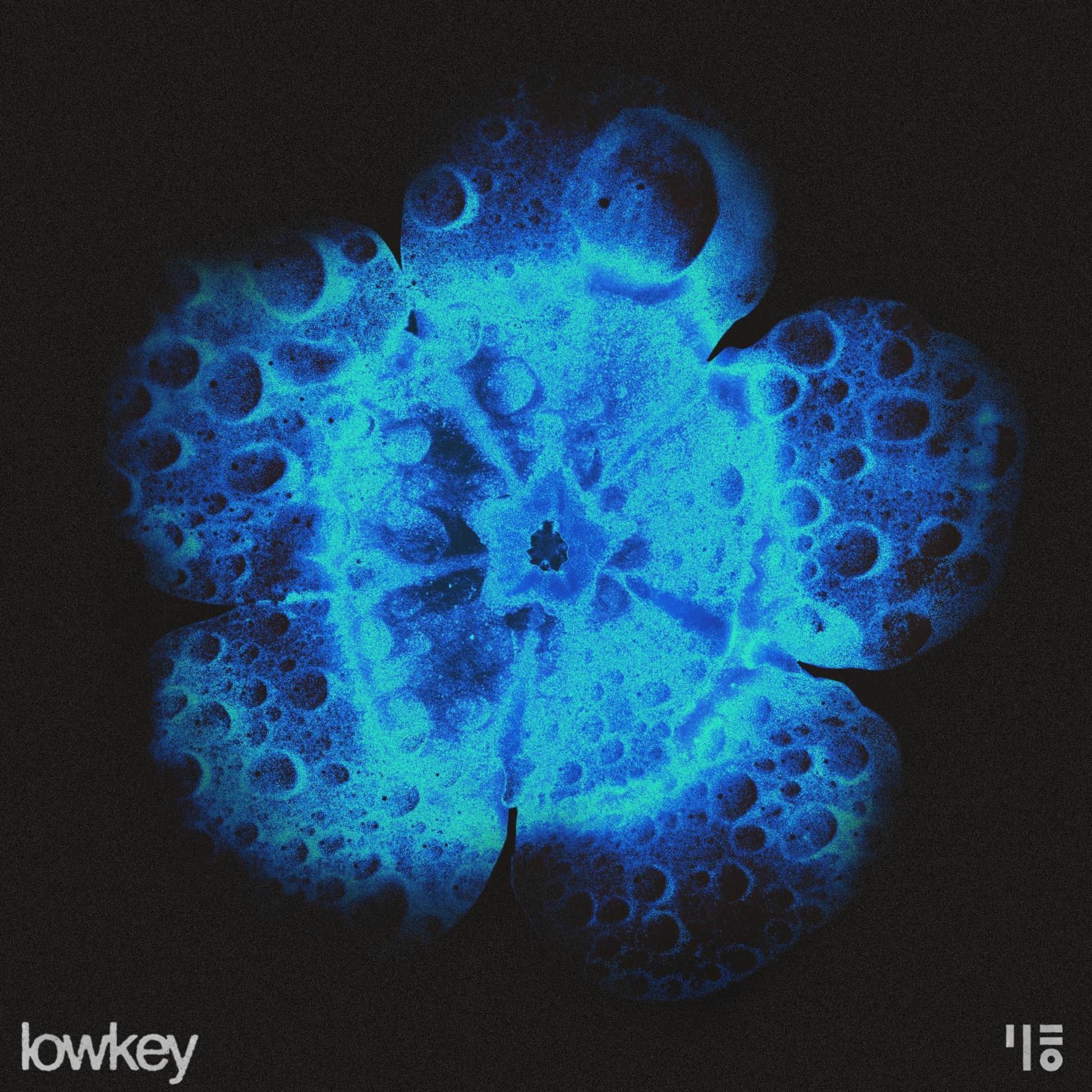 Album cover of Lowkey (feat. Kastro)