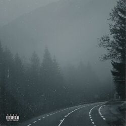 Cover of FDT