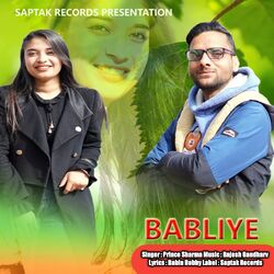 Cover of Babliye