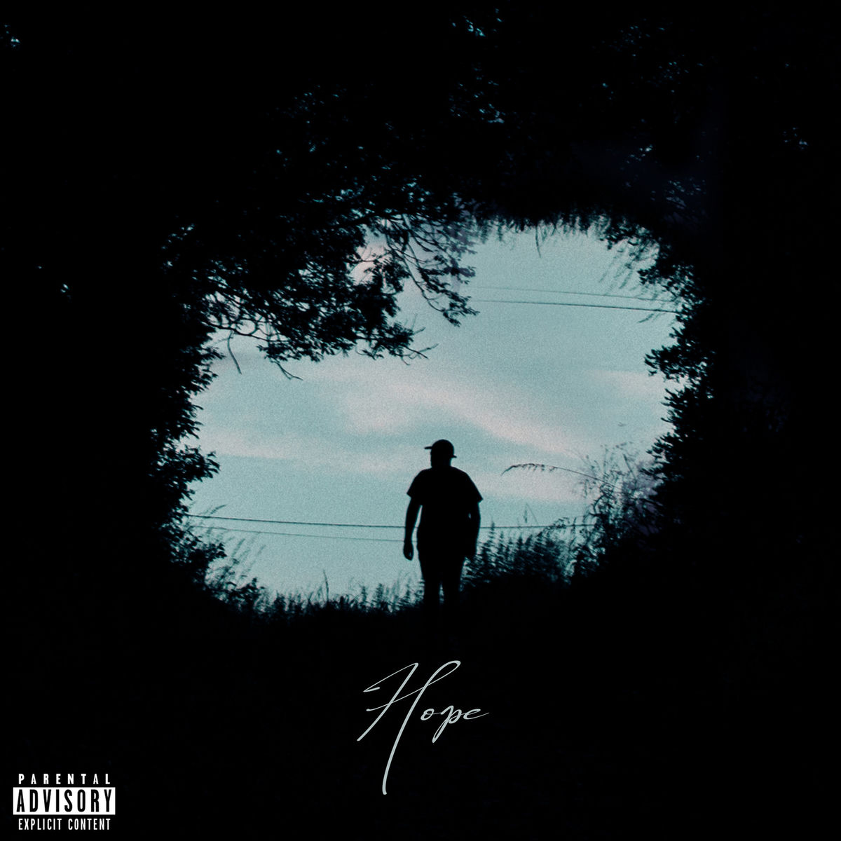 Album cover of Hope