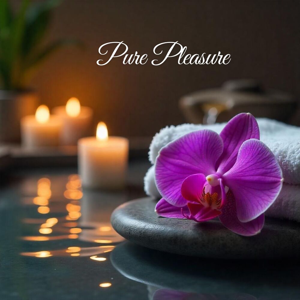 Picture of Pure Pleasure: Spa Relaxation Music