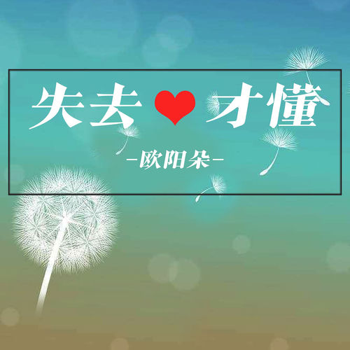 失去才懂 (纯音乐DJ)
