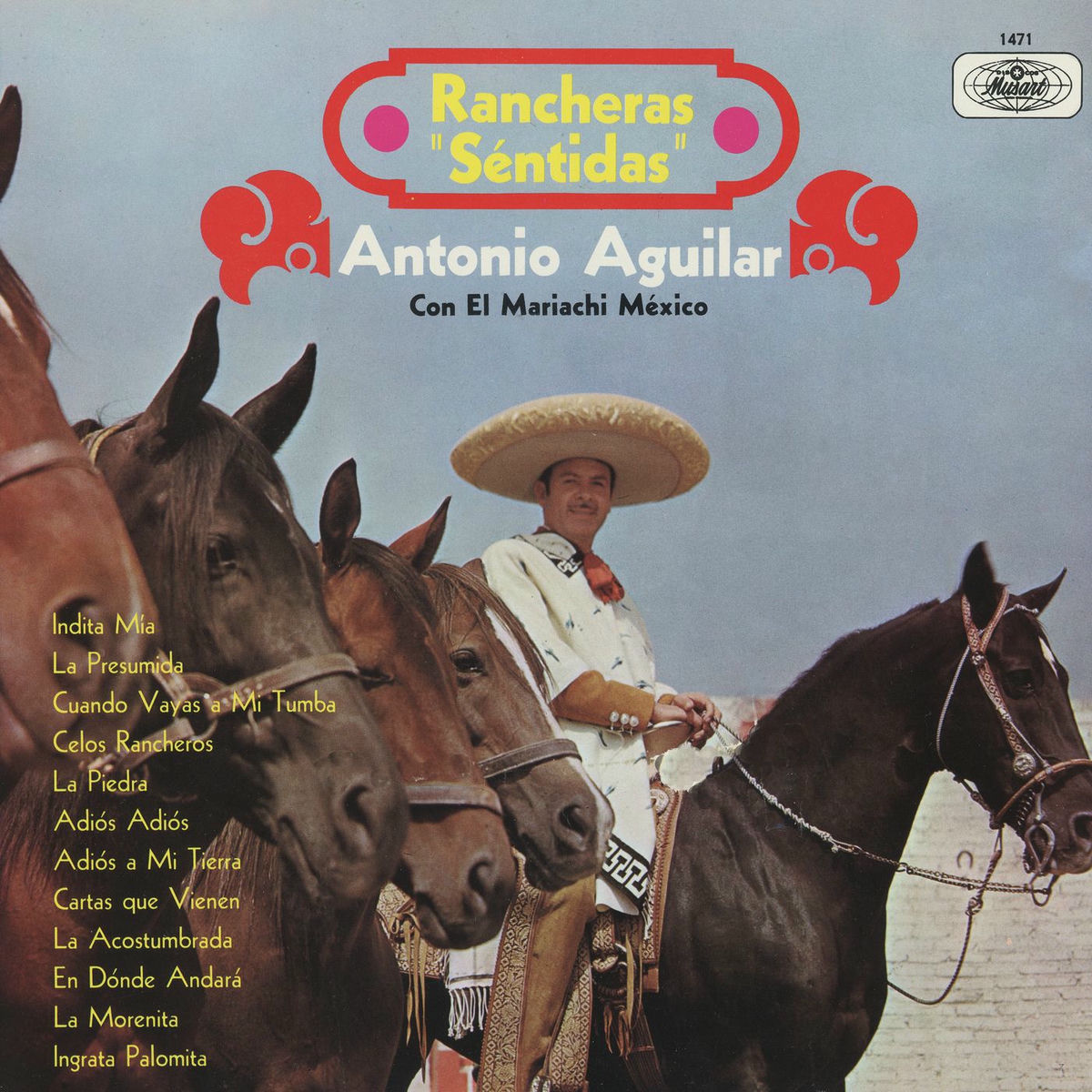 Album cover of Indita Mía