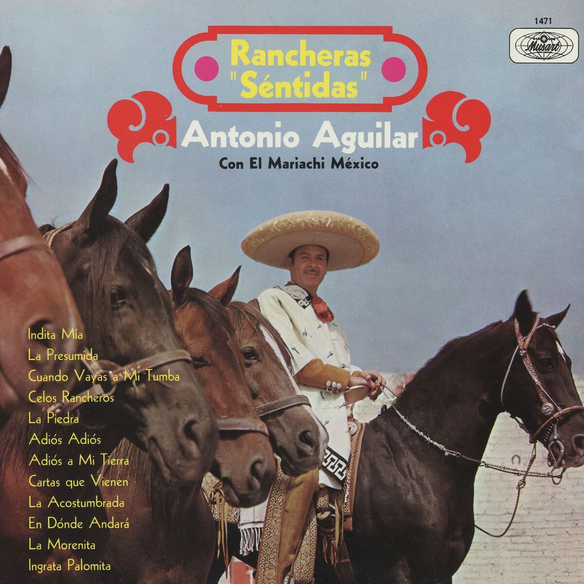 Album cover of Rancheras 