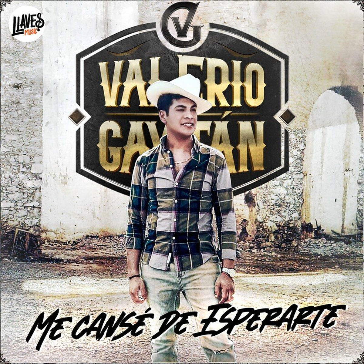 Album cover of Me Cansé De Esperarte