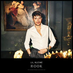 Cover of Rook