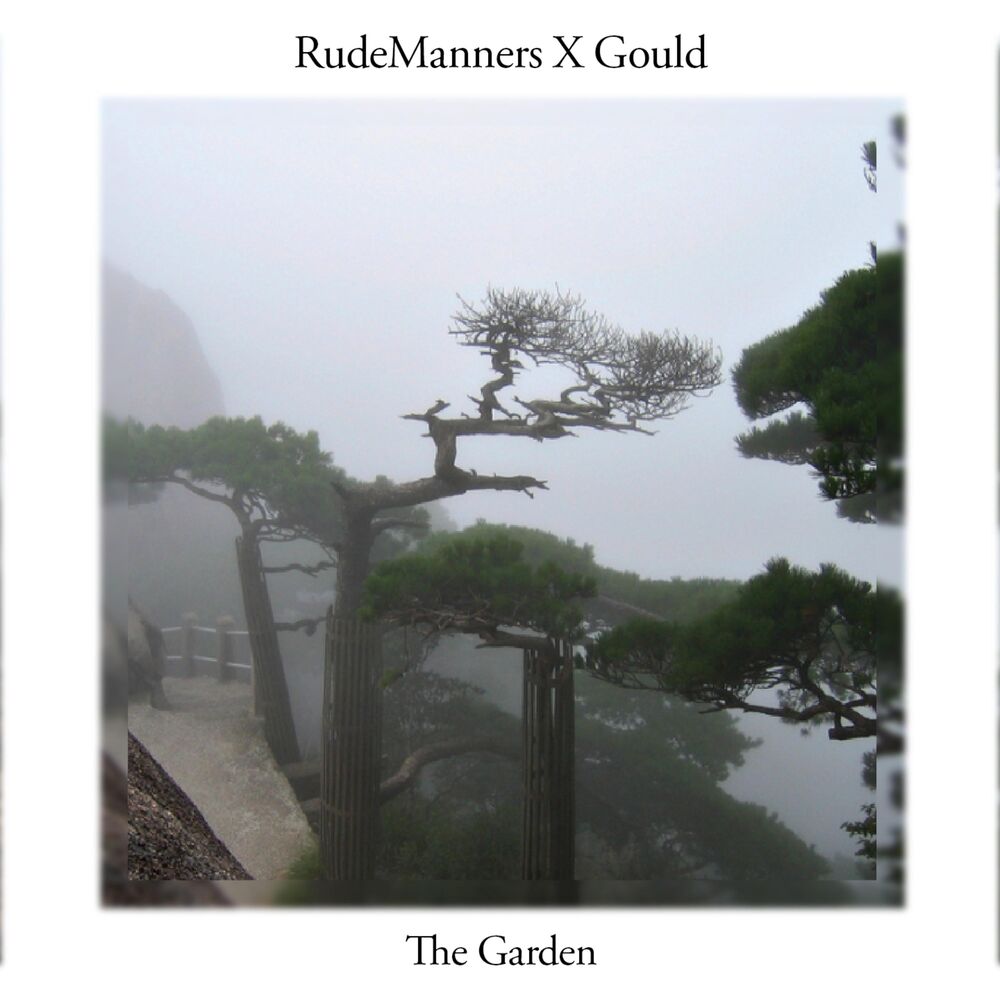 Picture of The Garden