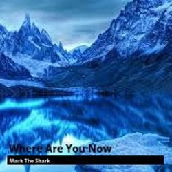 Cover of Where Are You Now
