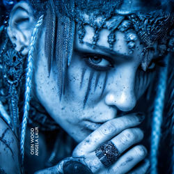 Cover of Animism by undefined
