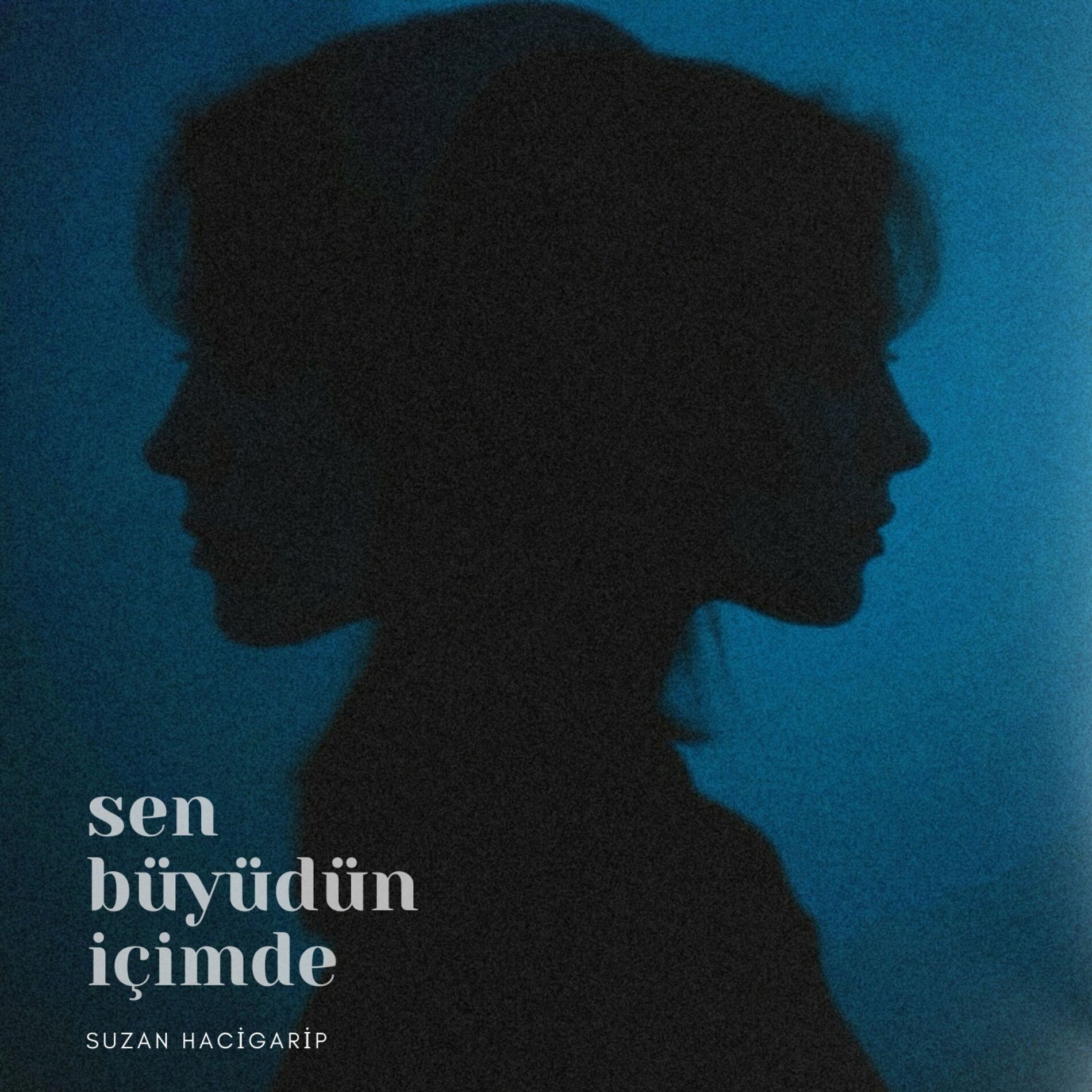 Album cover of Sen Büyüdün İçimde