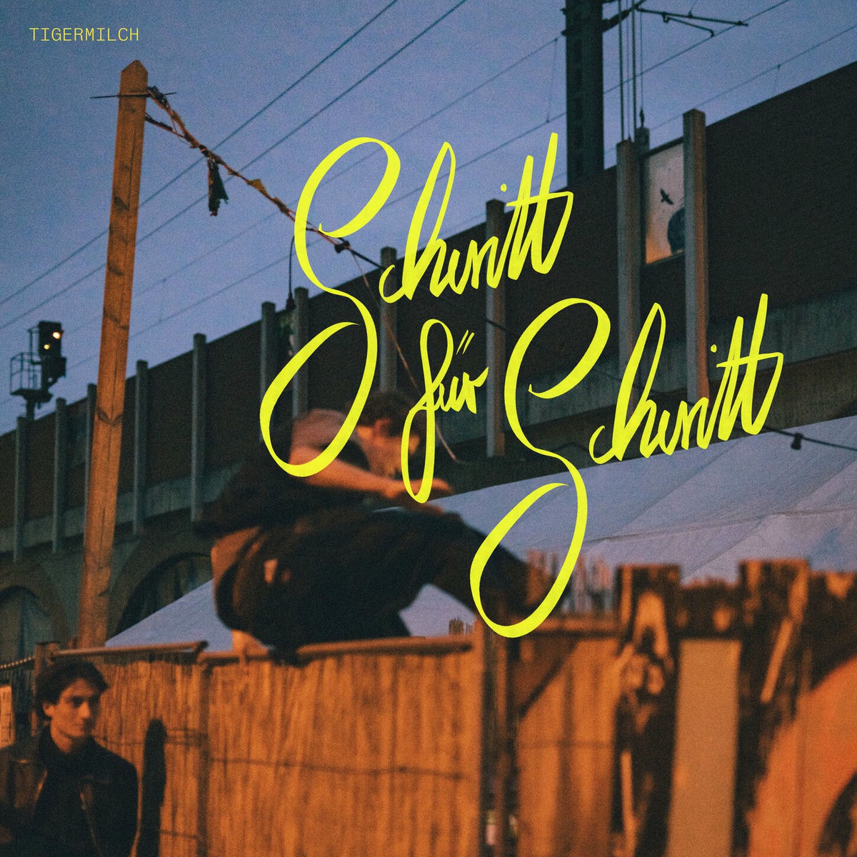Album cover of Schritt für Schritt