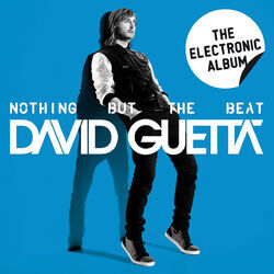 Cover of Nothing but the Beat - The Electronic Album