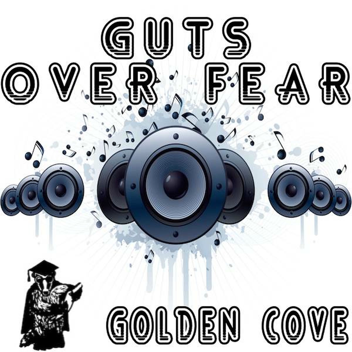 Album cover of A Tribute to Eminem and Sia's Guts Over Fear
