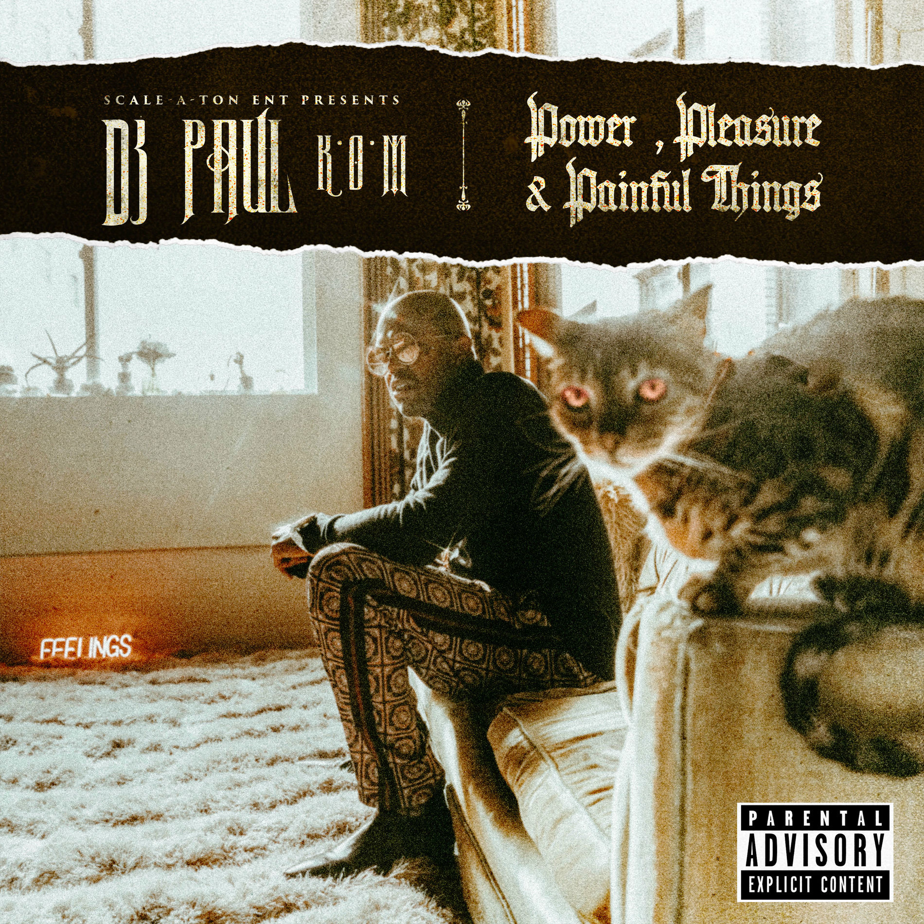 Album cover of Power, Pleasure & Painful Things