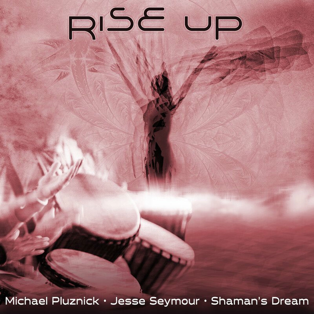 Album cover of Rise Up