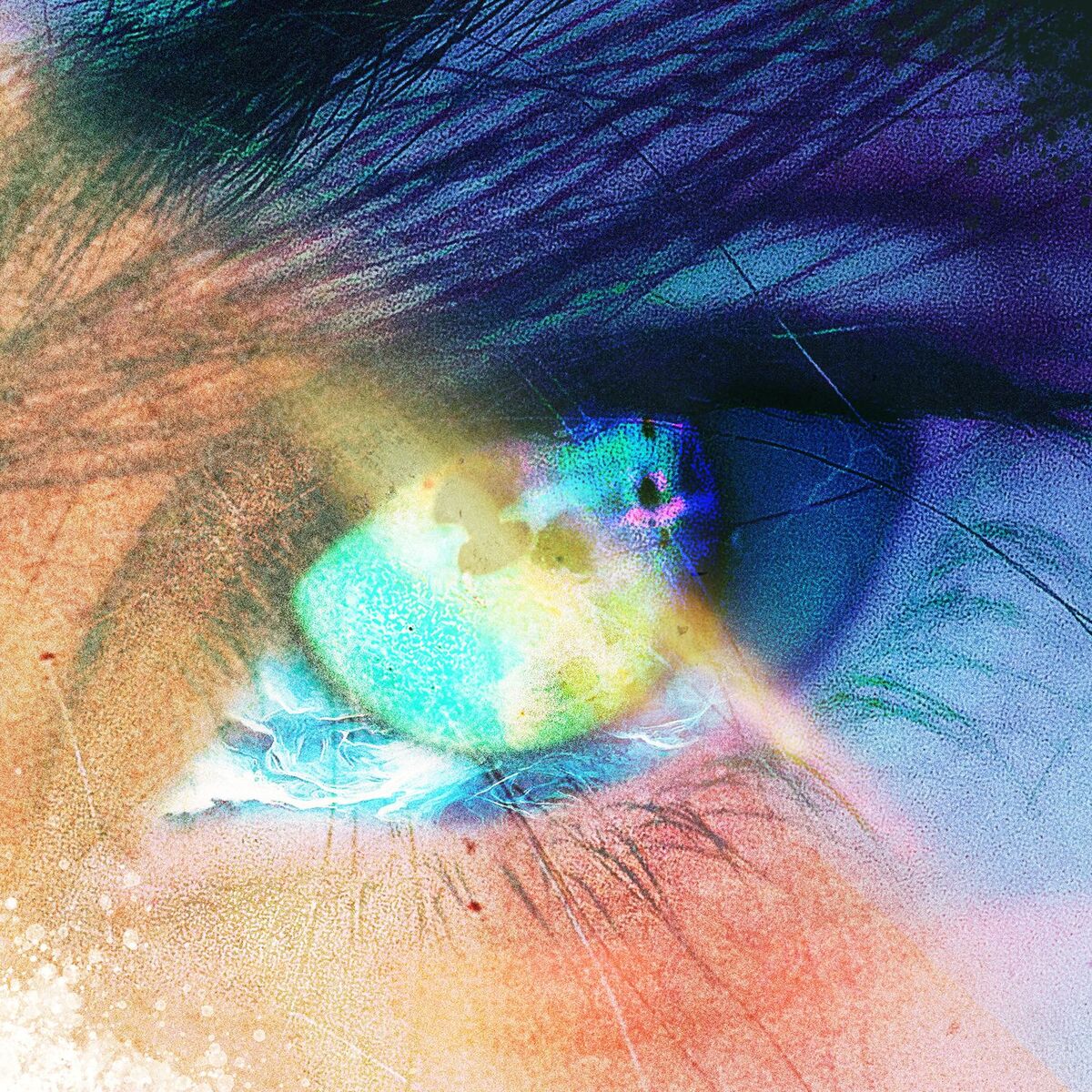 Album cover of VIOLANTE