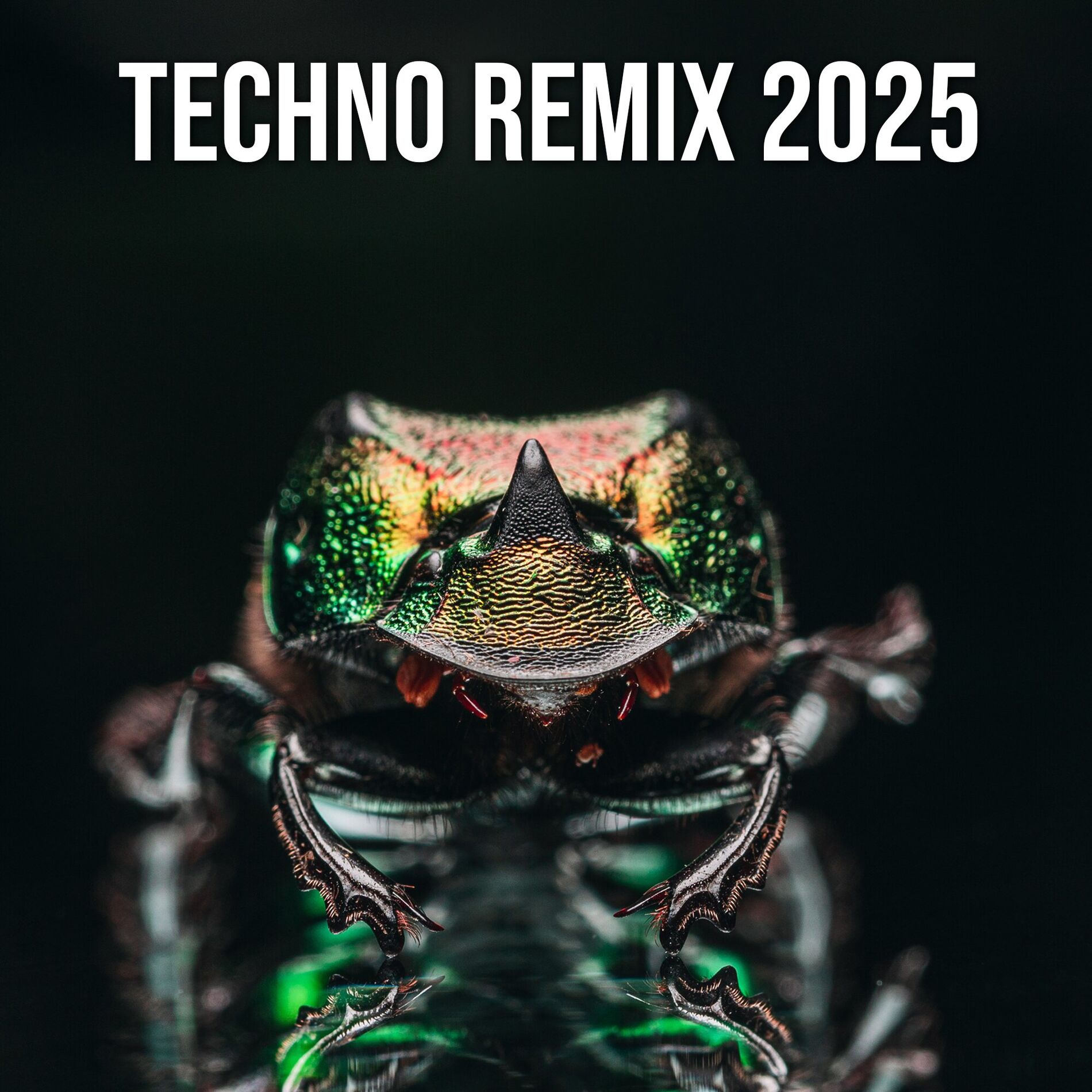 Album cover of Techno Remix 2025