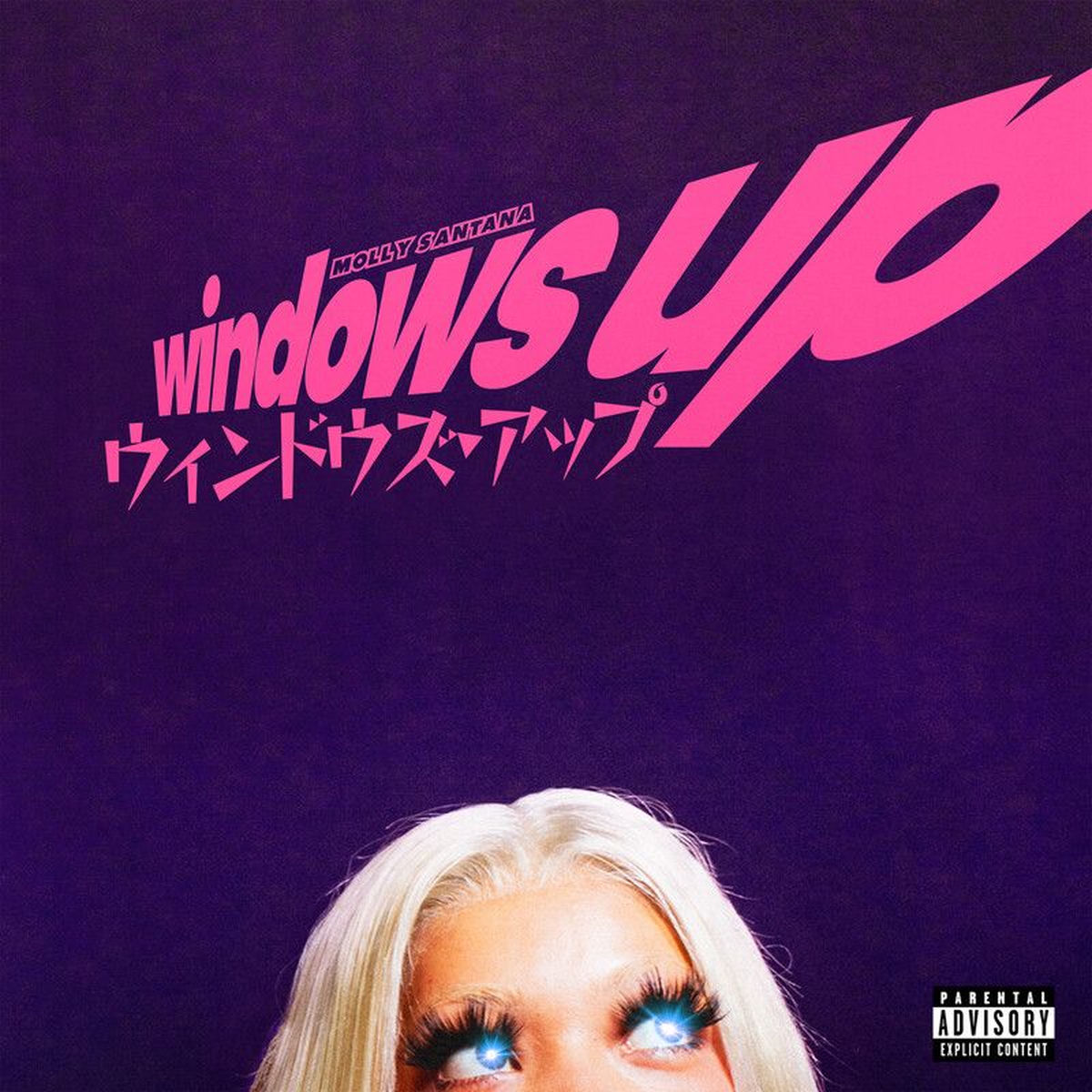 Album cover of Windows Up