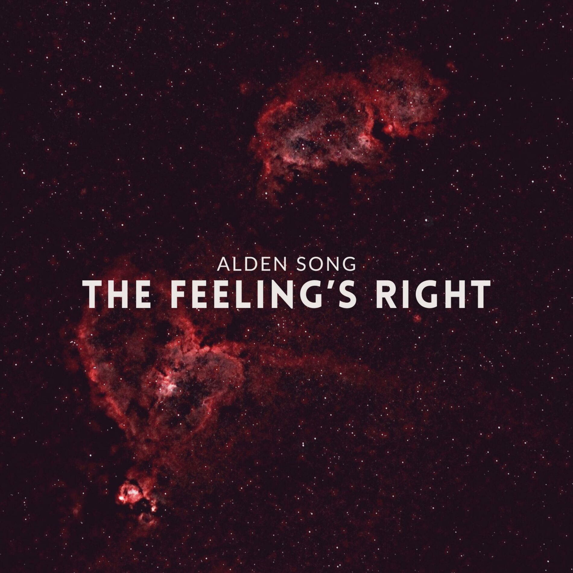 Album cover of The Feeling's Right (Extended Mix)