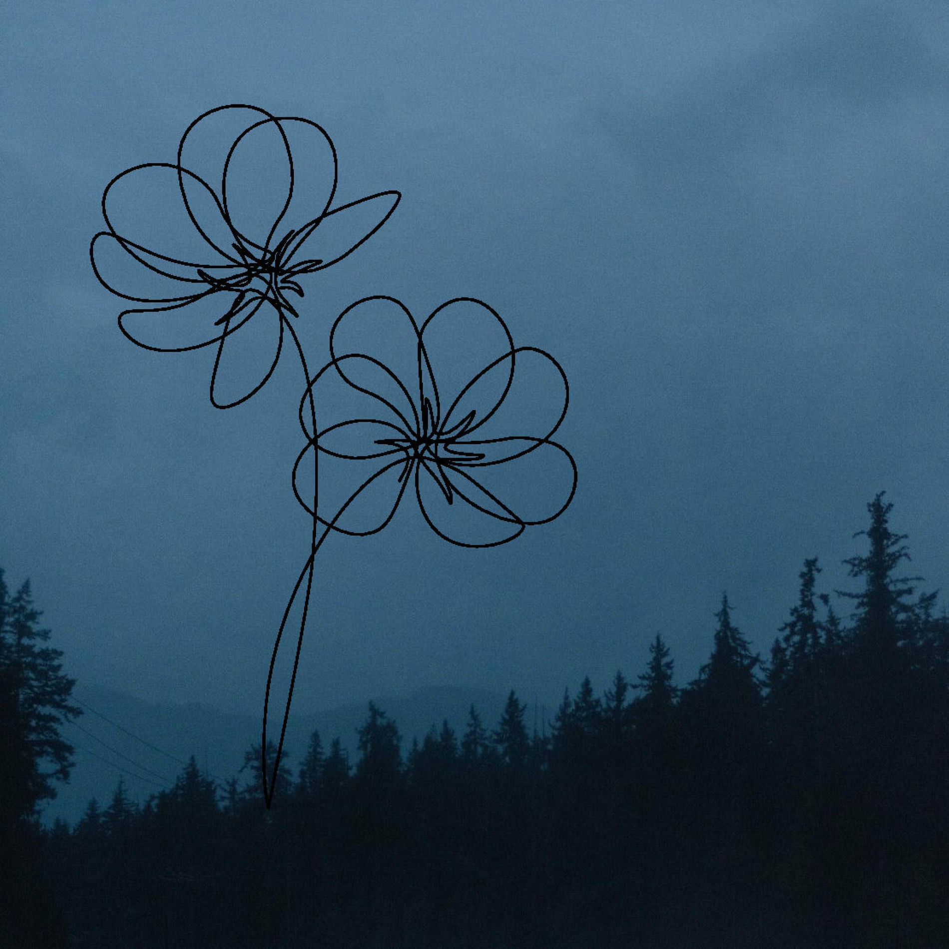 Album cover of may flowers