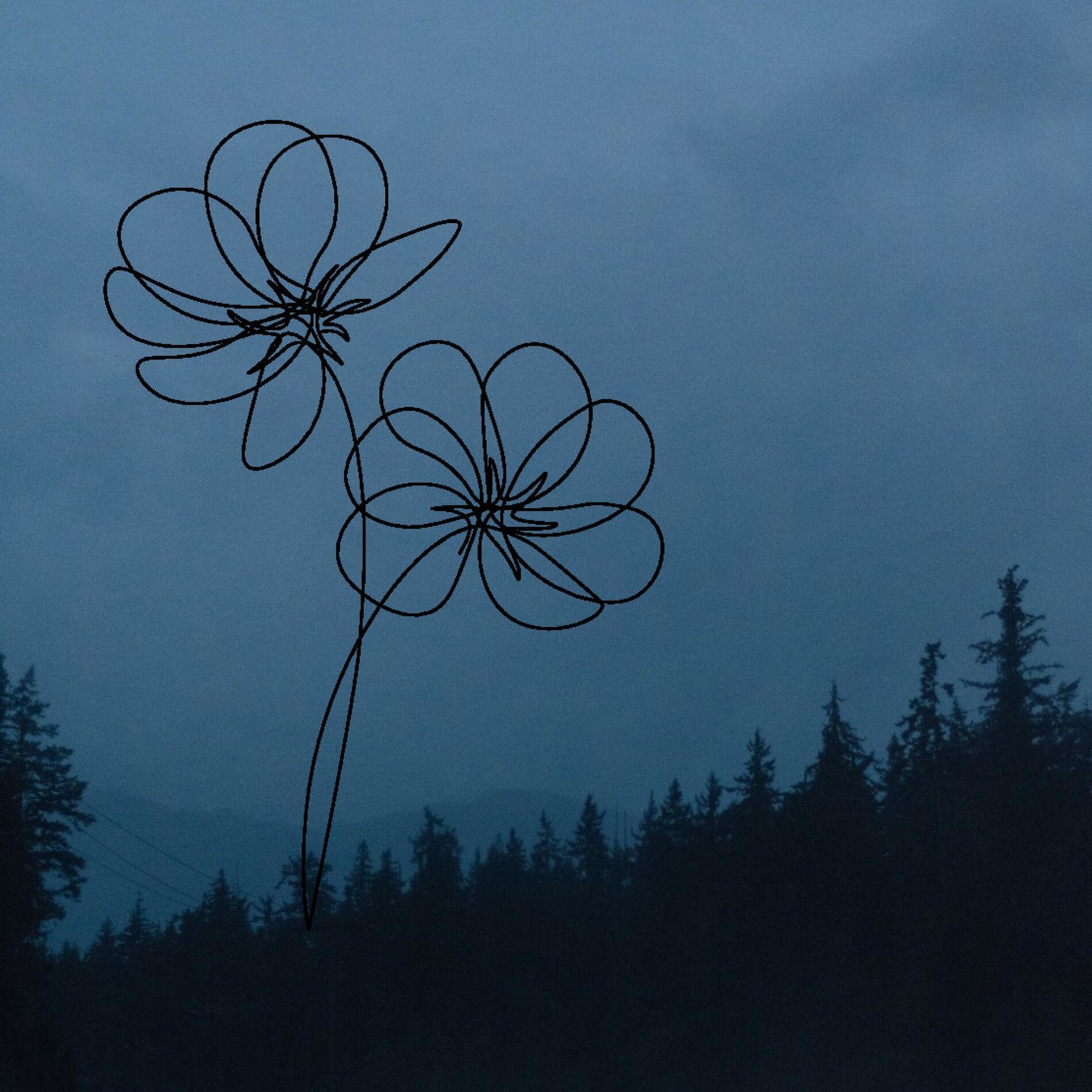 Album cover of may flowers