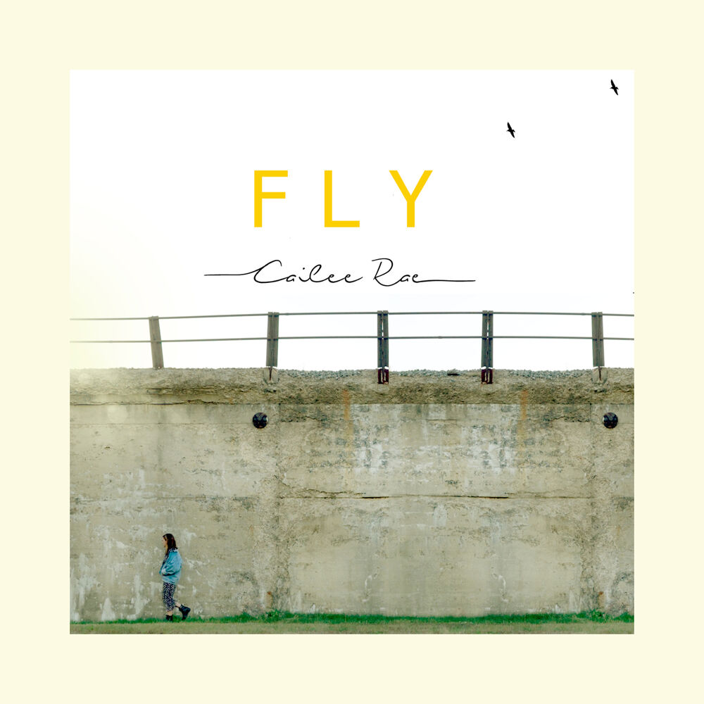 Picture of Fly