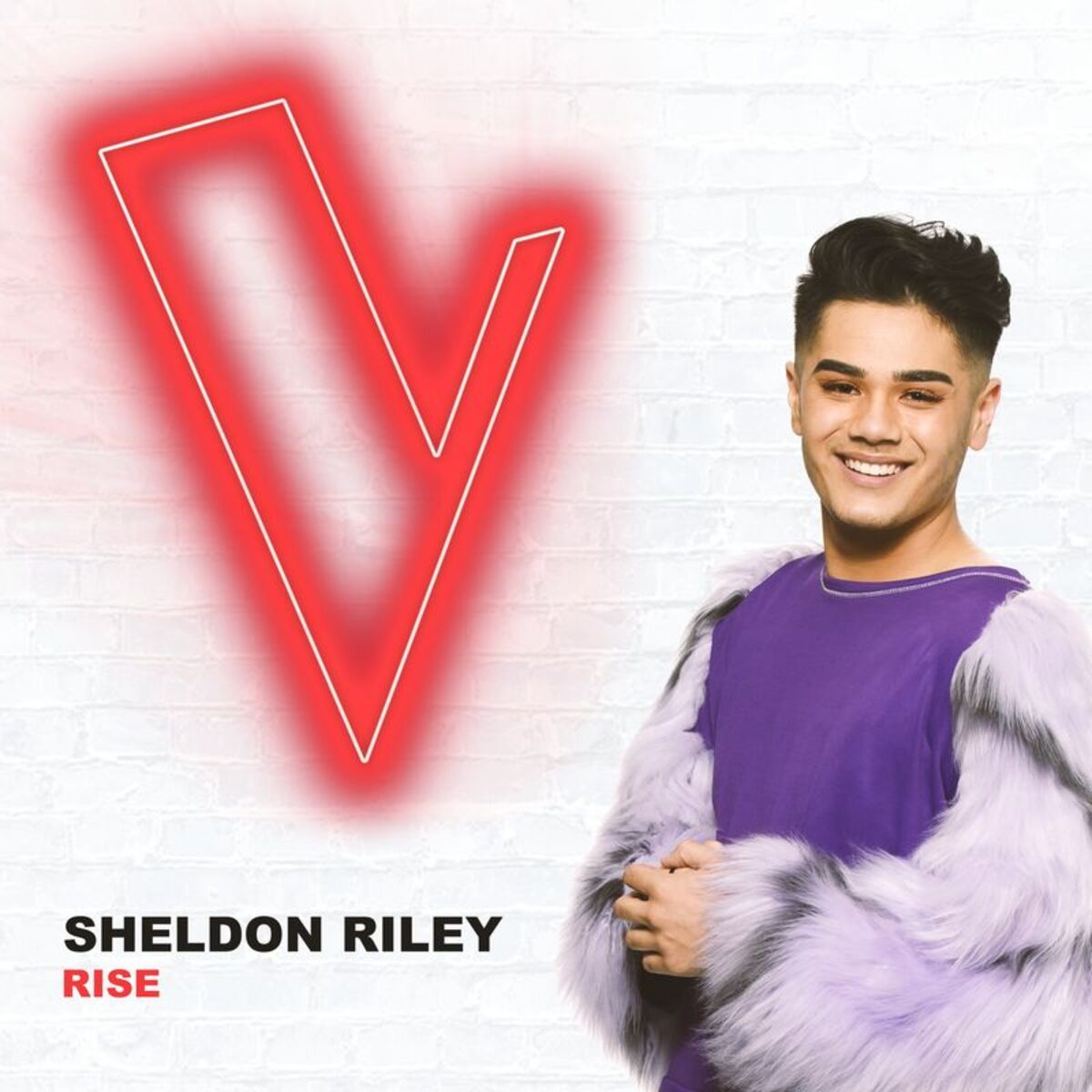 Album cover of Rise