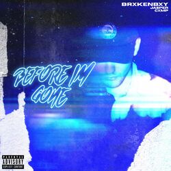 Cover of Before i'm Gone