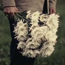 Cover of Mourning Flowers