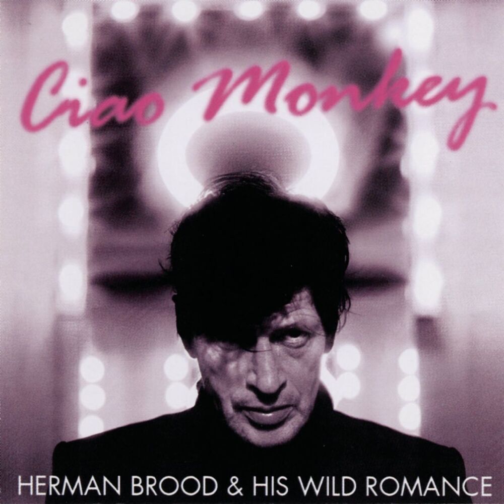 Picture of Ciao Monkey