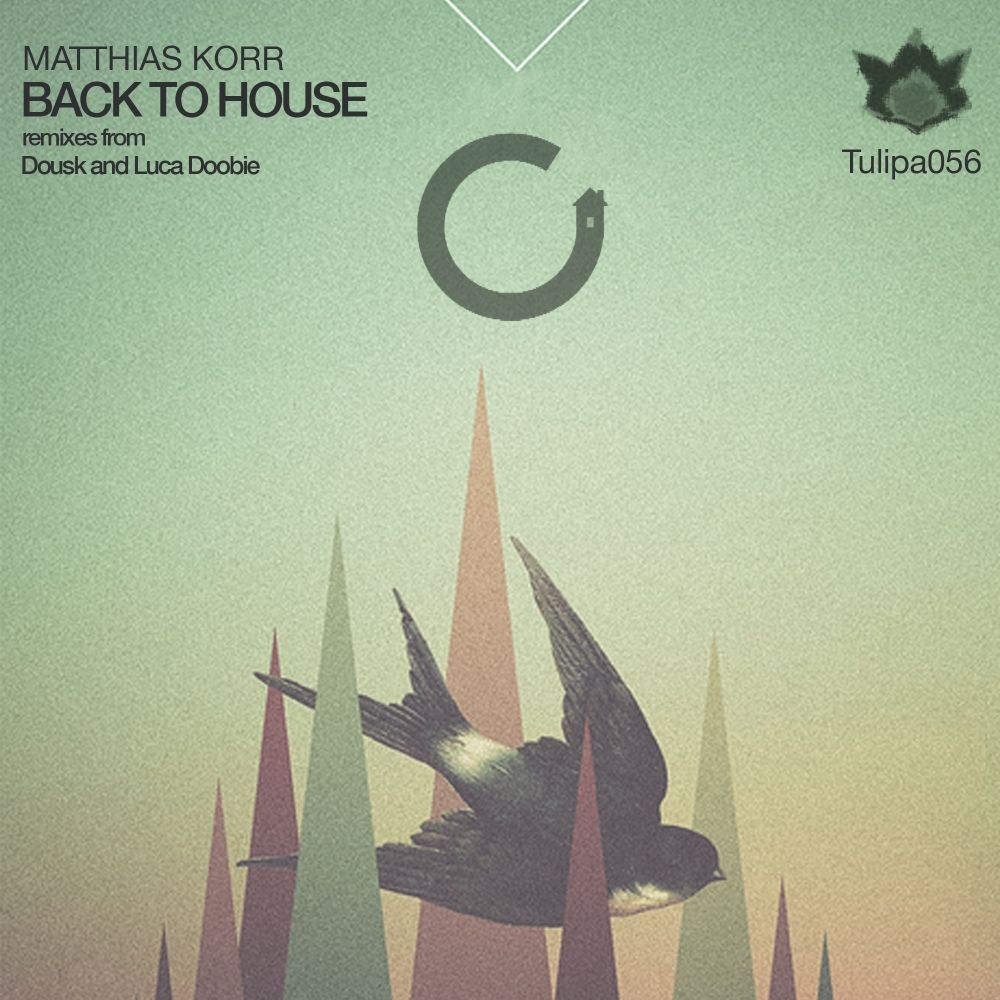 Picture of Back To House