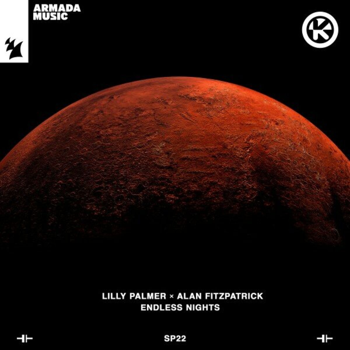 Album cover of Endless Nights