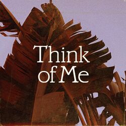 Cover of Think of Me