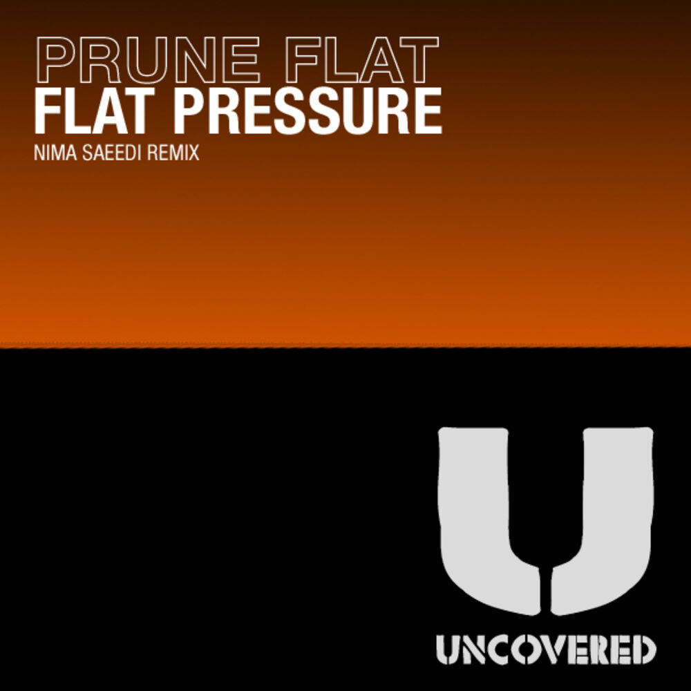Picture of Flat Pressure (Nima Saeedi Remix)