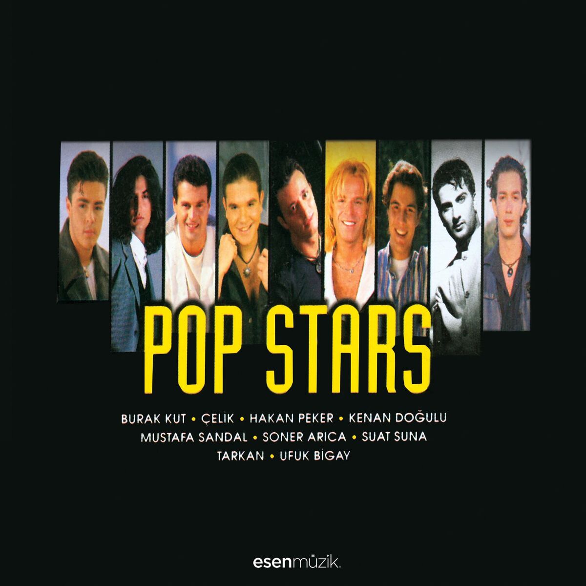 Album cover of Pop Stars
