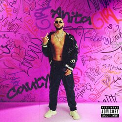 Cover of Anita