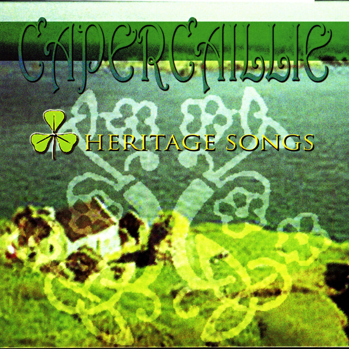 Album cover of Alasolair Mhic Cholla Ghasda - Alasolair, Son Of Gallant Coll