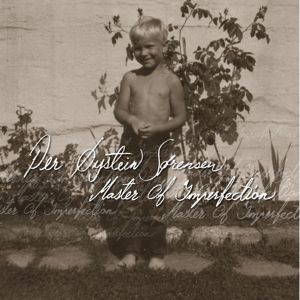 Picture of Master of Imperfection