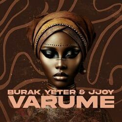 Cover of Varume