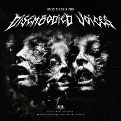 Cover of DISEMBODIED VOICES (feat. T33 & NKI)