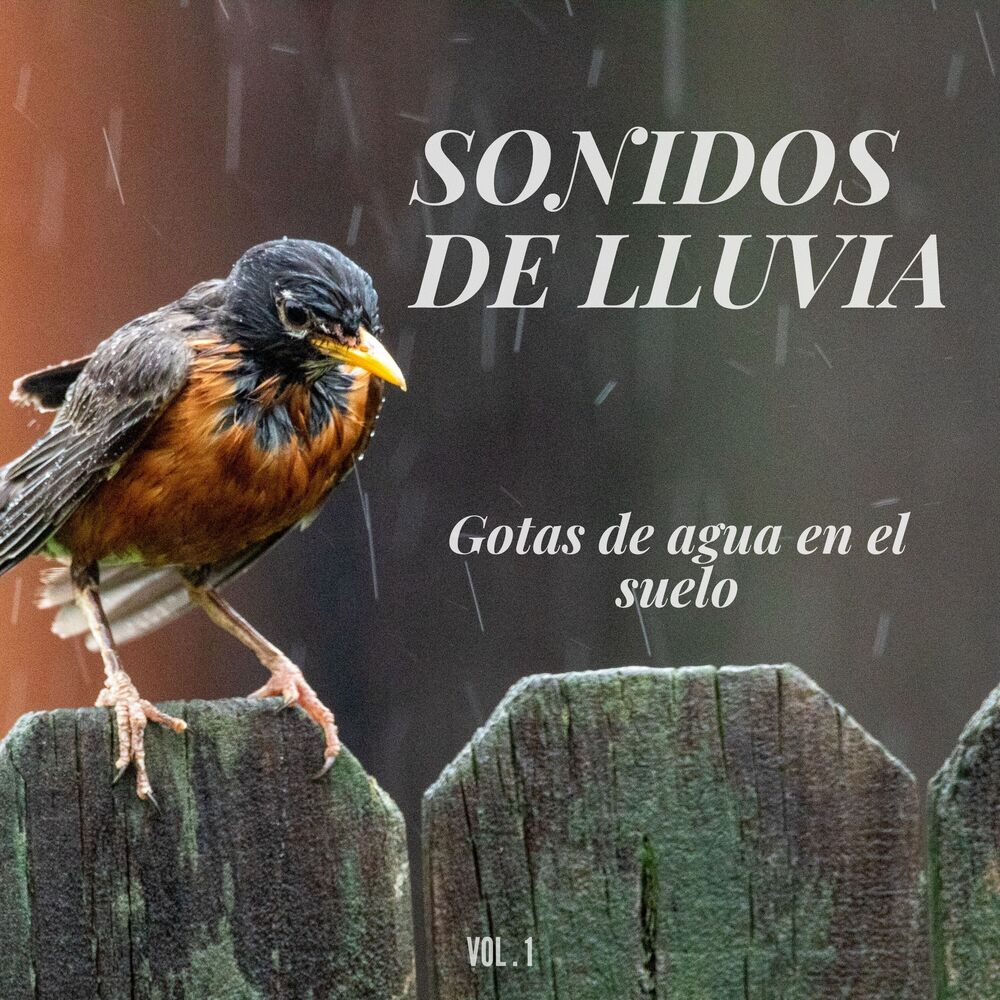 Picture of Sonidos de lluvia: Gotas de agua en el suelo Vol.1