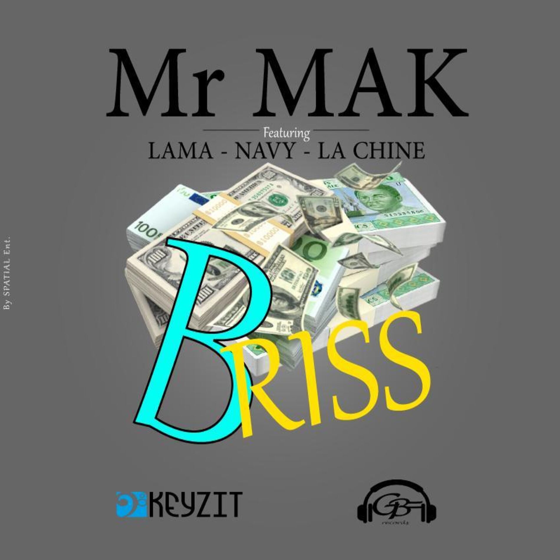 Album cover of Briss