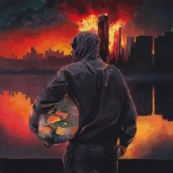 Cover of DOMAINE